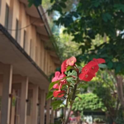 Whatsapp Image 2024 03 18 At 18.31.33