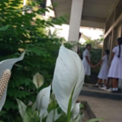 Whatsapp Image 2024 03 18 At 19.58.35