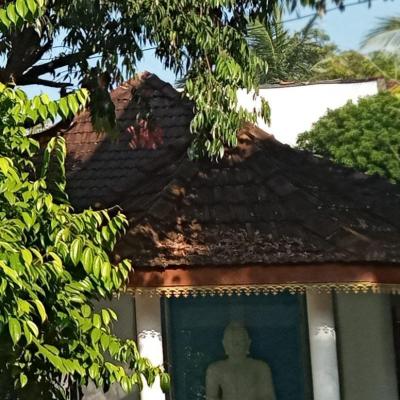 Whatsapp Image 2024 03 18 At 20.00.19